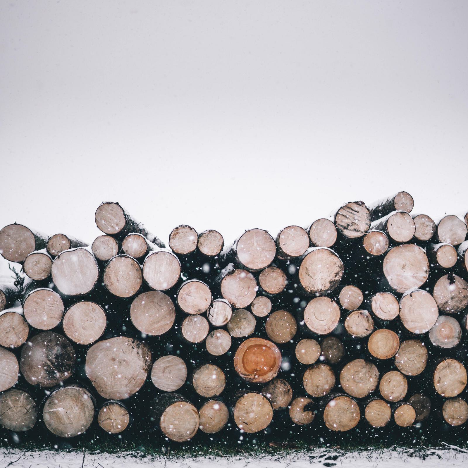 Benjamin raffetseder rw MR81 Ol F Bo unsplash
