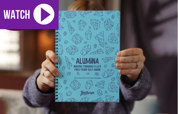 What is Alumina?