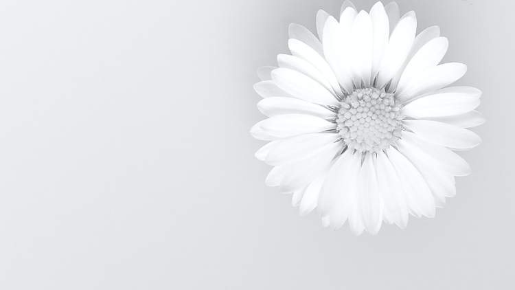 National Day of Reflection