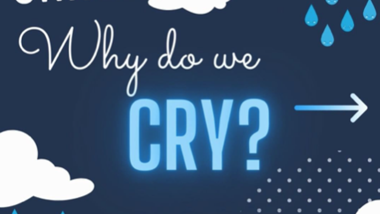 Why do we cry?