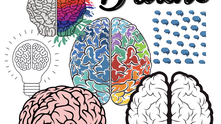 Brains are AMAZING