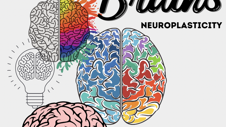 Brains are AMAZING- Neuroplasticity