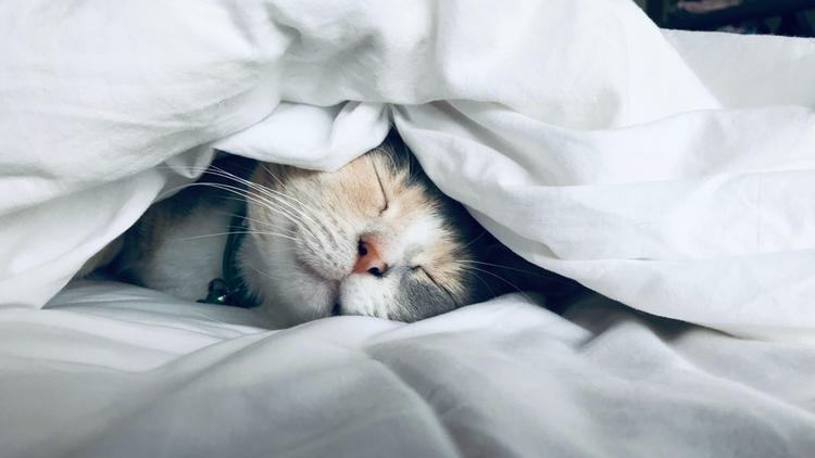 5 things you could do RIGHT NOW to improve your sleep