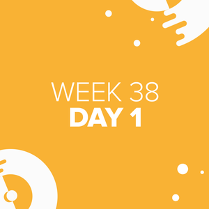 Website Day 1 Week 38
