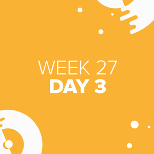 Website Day 3 Week 27