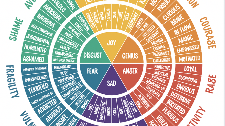 The Emotions Wheel