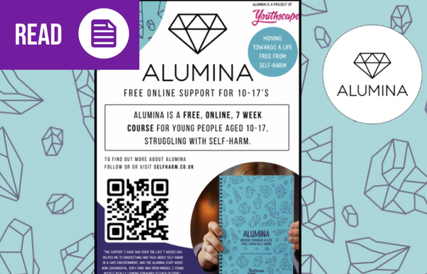 Alumina Poster A3 (signposting material)