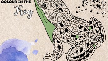 Doodle Challenge- Colour in the frog