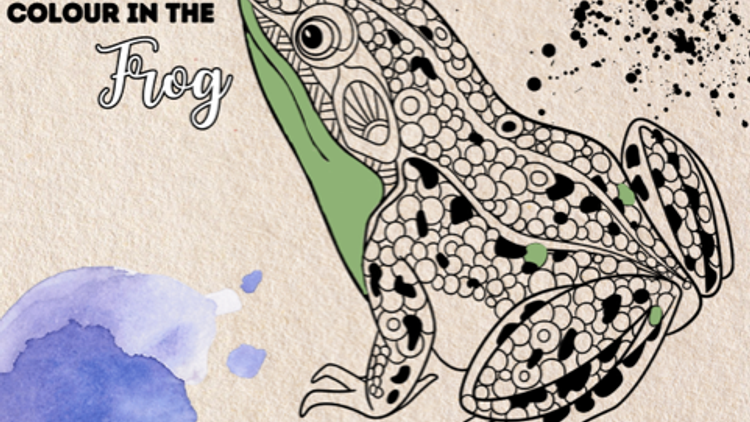 Doodle Challenge- Colour in the frog