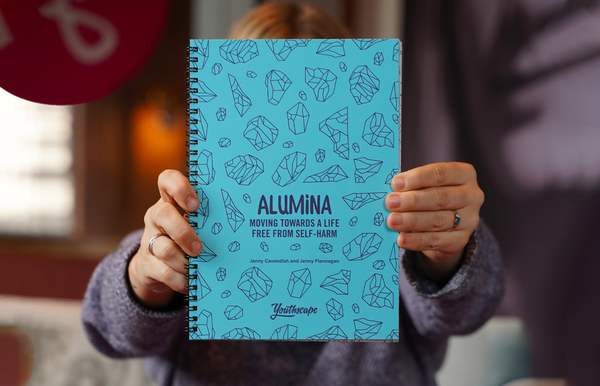 Alumina Workbook