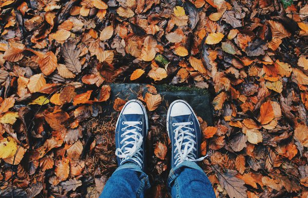 Autumn and Endorphins